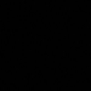 Meet your Posher, Aiden